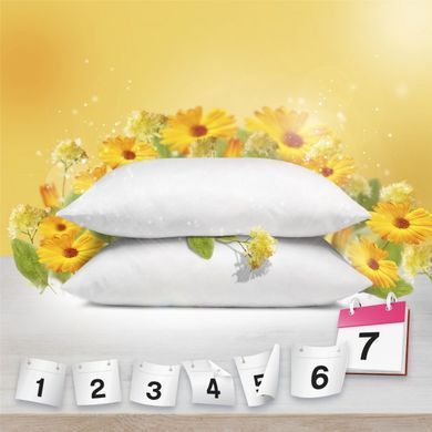 Кондиціонер для білизни Lenor Сонячні квіти 1,42 л