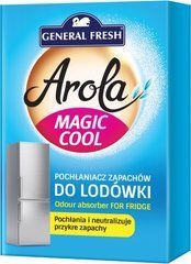 Поглинач неприємних запахів General Fresh Magic Cool для холодильника 30 г