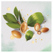 Шампунь Herbal Essences Марокканское аргановое масло 400 мл