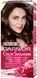 Краска для волос Garnier Color Sensation 4.0 Каштановый перламутр 110 мл