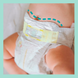 Підгузки Pampers Premium Care 1 (2-5 кг) 26 шт