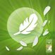 Ежедневные прокладки Naturella Green Tea Magic Normal 52 шт.