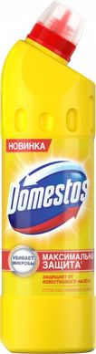 Универсальное средство Domestos Лимонная Свежесть 24 часа 1 л